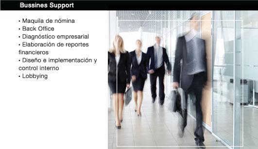 bussinessupport