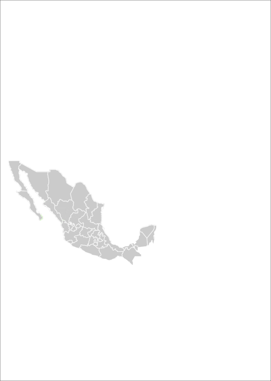 fondo-blanco1